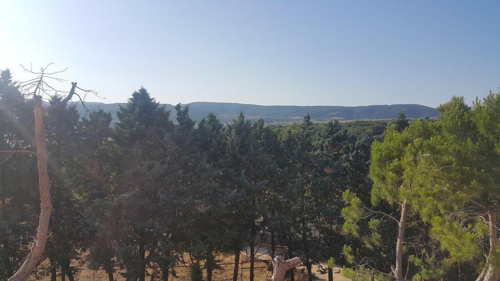 Hotel Menta E Rosmarino 몬테산탄젤로 객실 사진