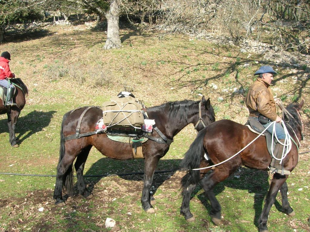 Hotel Menta E Rosmarino 몬테산탄젤로 외부 사진